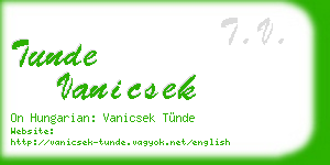 tunde vanicsek business card